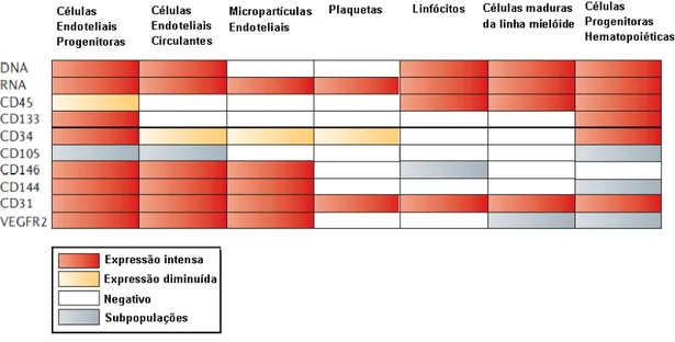 Figura 1.5 - Expressão dos antigénios nas células endoteliais circulantes, micropartículas endoteliais,  células endoteliais progenitoras, plaquetas e células hematopoiéticas (linfócitos, células mielóides e  células progenitoras hematopoiéticas)