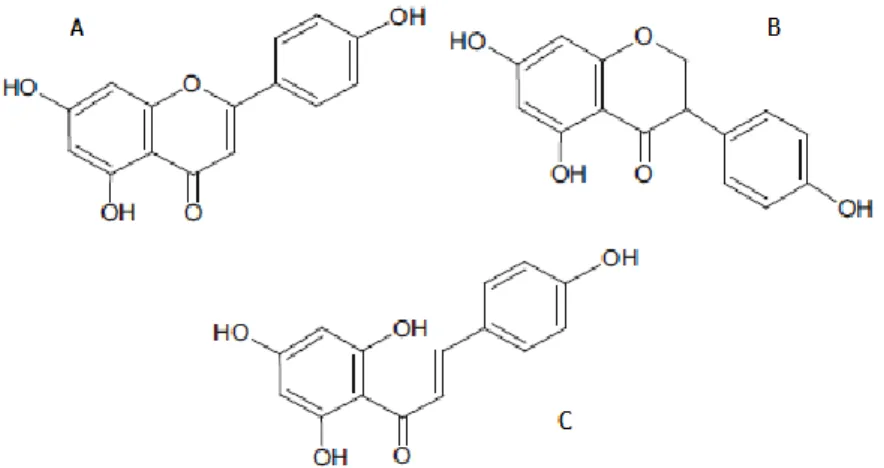 Figura 4: Flavona (A), Isoflavonoide (B) e Calcona (C) (adaptado de Yusuf et al, 2017) 