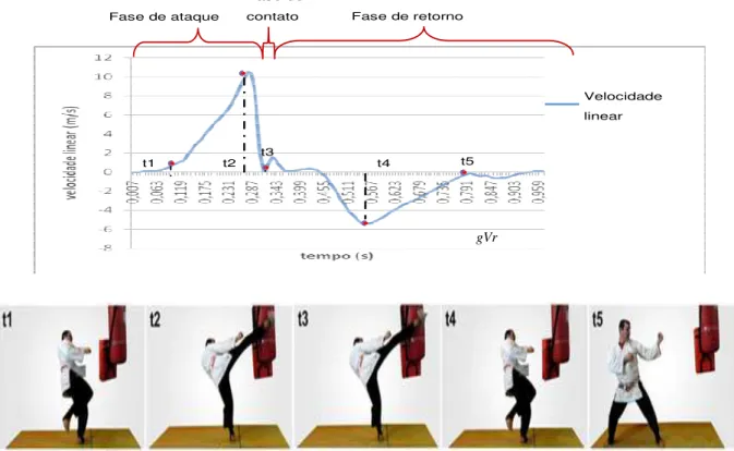 Figura 3 -  Representação gráfica da velocidade linear do tornozelo durante a execução do chute semicircular