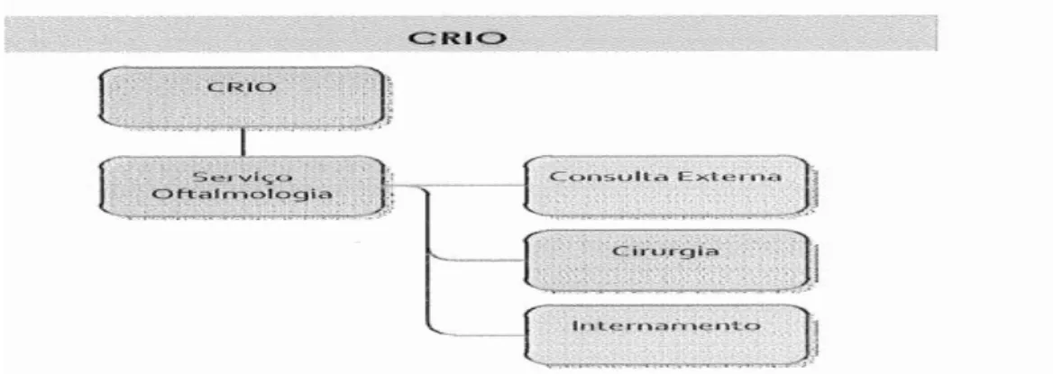 Figura 9 - Estrutura Orgânica do CRIO 