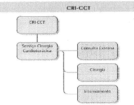 Figura 10 - Estrutura Orgânica do CRIO-CCT 