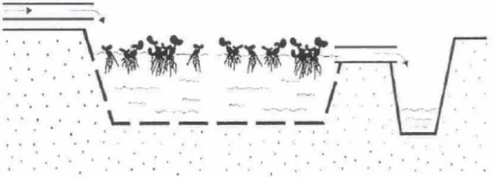 Figura 2. 2– Leito de macrófitas com plantas aquáticas flutuantes de escoamento superficial e  horizontal (adaptada de Dias et al., 2000) 