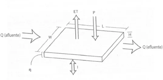 Figura 2. 10 – Esquema representativo do balanço hídrico num LM (adaptada de Wallace e Knight,  2006) 