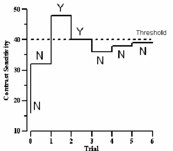 Figura 11- O gráfico mostra uma série de respostas para ilustrar a rotina BNSRCH, (N) significa que o  indivíduo não identificou o padrão e (Y) o oposto