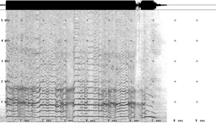 Figura 2. Espectrograma com traçado irregular, intensidade normal, instável, com presença de ruído, presença de sub-harmônicos e harmônicos  deinidos até 2 kHz