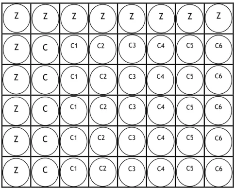 Figura  7:  Esquema  representativo  da  sementeira  em  placas  de  48multiwells  quando  se  estudou  cada  composto  isoladamente;  Z=  zeros;  C=  controlo  (apenas  suspensão  celular),  aos  restantes  poços  foram  adicionados  também  250µl  da  su