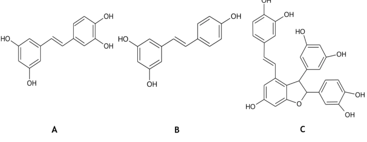 Figura 4: Estrutura de uma isootientina glicerada identificada na P. edulis. (Zeraik, Serteyn et al