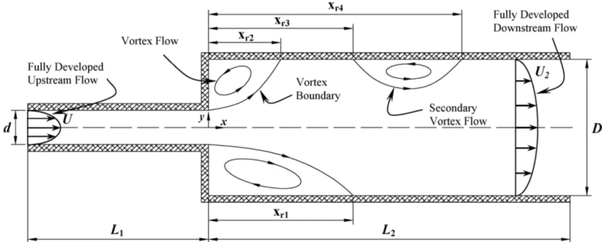 Fig. 1. Sudden expansion flow geometry including schematic of expected flow patterns for moderate Re (O(50)).