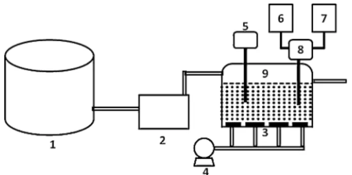 Fig. 1 Diagram of the pilot-scale partial-SHARON bioreactor used in the experiments. 1 Synthetic wastewater tank; 2 peristaltic pump; 3 oxygen diffusers (porous plates); 4 air pump; 5 thermostat; 6 tank of NaOH 0.1 M for pH control; 7 tank of H 2 SO 4 0.1 