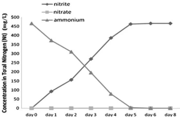 Fig. 3 Values of ammonium and nitrite expressed as total nitrogen detected in the effluent of a partial-SHARON bioreactor over time with an HRT of 0.4 day