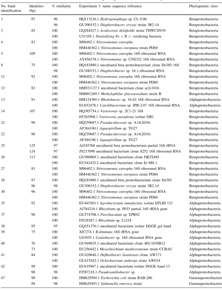 Table 3 Bacteria obtained from the NCBI database from the sequencing of the bands extracted in experiment 1 (HRT 0.5 day) No