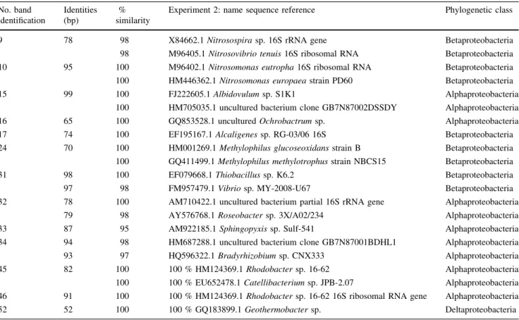 Table 4 Bacteria obtained from the NCBI database from the sequencing of the bands extracted in experiment 2 (HRT 0.4 day) No