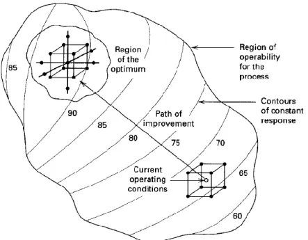 Figure 8 - The sequential nature of RSM [45]. 