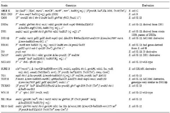 Table 1 - E. coli host strains commonly used in plasmid DNA biosynthesis (adapted from [30])