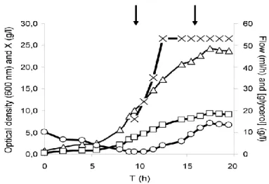 Figure 7 – Behaviour of cultivation parameters during fed-batch procedure. The starting of the feeding  and induction are indicated by the left and right arrows, respectively