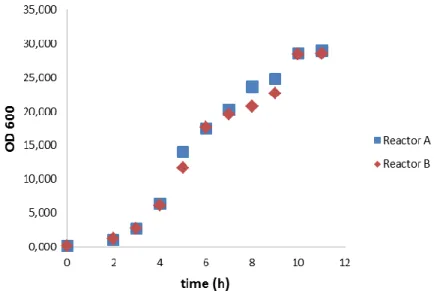 Figure 10 - Growth curve of E. coli in a batch process: 40°C, 30% dissolved oxygen, pH 6.5