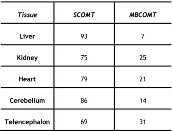 Table 1 – Relative quantification of SCOMT and MBCOMT proteins in rat tissues expressed as % of total  COMT in the immunoblot [9]
