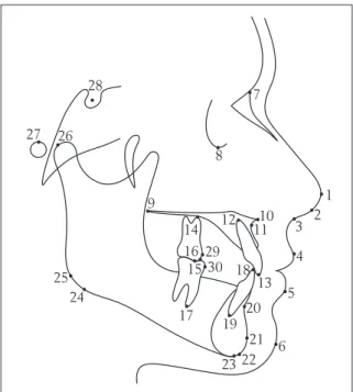 FIGURA 5 - Linhas e planos de referência que constituíram o traçado de orien- orien-tação dos cefalogramas.