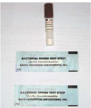 FIGURA 1 - Amostra de Bacillus stearothermophillus.