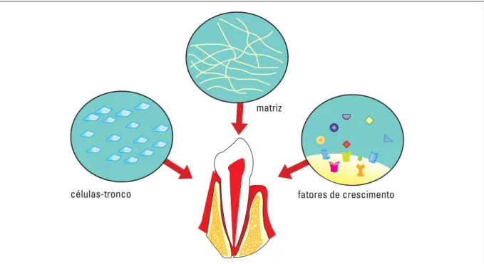 FIGURA 1 - Fatores necessários para a bioengenharia na Odontologia.
