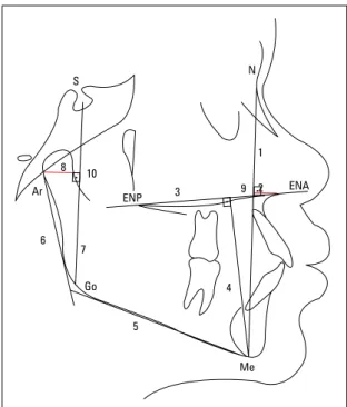 FIGURA 1 - Delimitação das estruturas anatômicas. Demarcação dos pontos  e traçados de orientação: linhas e planos.