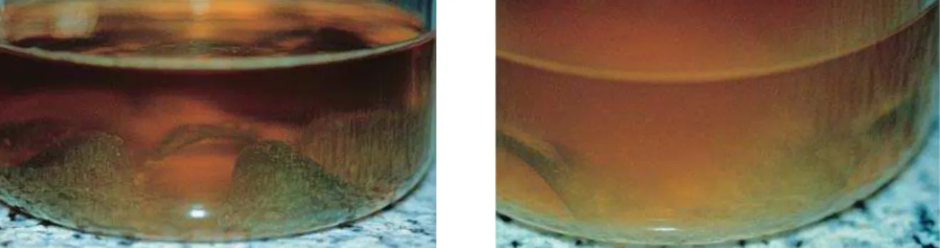 FIGURA 4 – Amostras dos aparelhos em resina acrílica, com polimento mecânico, antes e após o crescimento bacteriano de S.mutans.