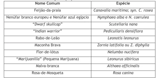 Tabela 2 - Plantas mais comuns na &#34;Spice&#34; (13) 