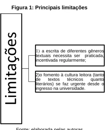 Figura 1: Principais limitações 