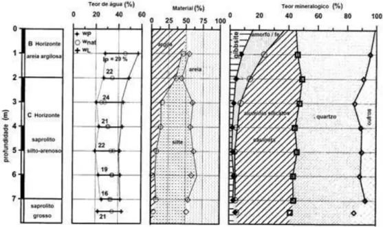 Figura 8 - Características físicas de um perfil de solo residual (Futai et al., 2005) 