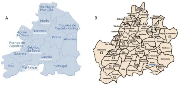 Figura  2.  Localização  das  regiões  de  colheita  das  amostras.  A  –  Distrito  da  Guarda;    B-  Freguesias    da  Guarda  (adaptado  de  http://www.pandaempresas.net/?link=portugal/mapa-guarda.php  e   http://www.mun-guarda.pt/index.asp?idedicao=51