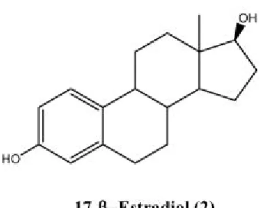 Figura 1: Estrutura química do 17β-estradiol. 