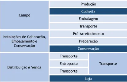 Tabela 1 – Esquema da cadeia típica do morango, desde o seu cultivo à comercialização (Coopermit 2013)