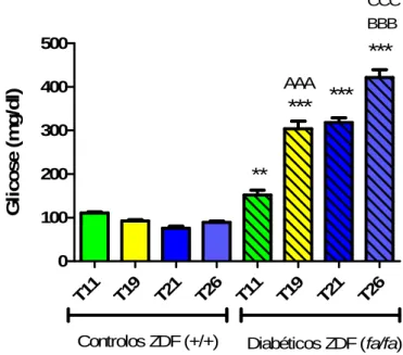 Gráfico 1 – Níveis de glicemia (mg/dl) no soro às 11, 19, 20 e 26 semanas. Foram efectuadas as  seguintes comparações entre grupos: A- ZDF (fa/fa) 19 semanas vs ZDF (fa/fa) 11 semanas; B-  ZDF  (fa/fa)  às  26  semanas  vs  ZDF(fa/fa)  ás  21  semanas;  C-