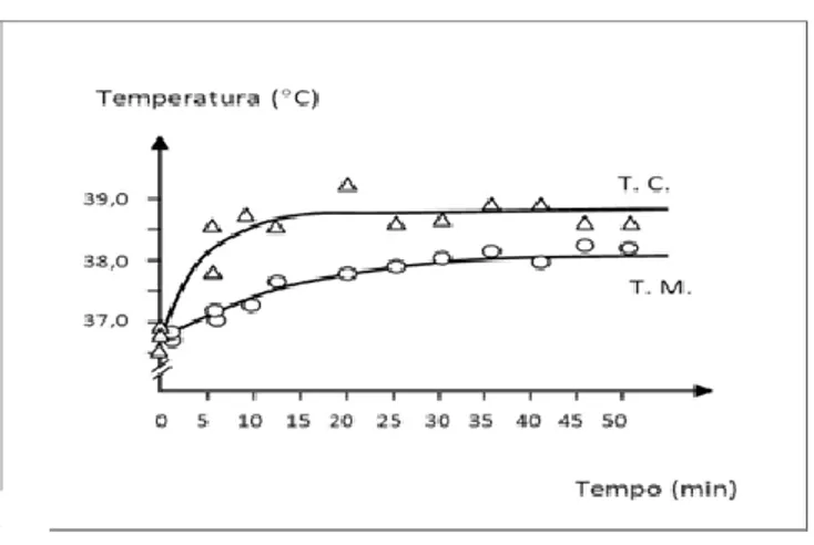 Fig. 1 Aumento da temperatura corporal (TC) e da temperatura muscular  (TM) durante 30 minutos de aquecimento