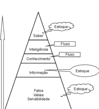 FIGURA 1 Pirâmide de Fluxos e Estoques