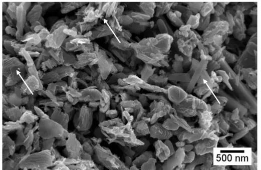 Fig.  8 - V 2 O 5  nanoparticles after 12 hours of sonication 
