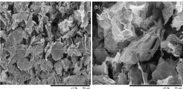 Figure 4.10 -SEM analysis of the printed electrodes surface with different magnifications (a) ×1500 and  (b) ×5000