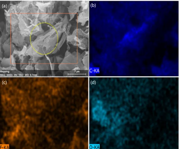 Figure 4.11 - EDS characterization of the electrode's surface in the (a) targeted area containing (b) carbon,  (c) fluorine and (d) oxygen elements