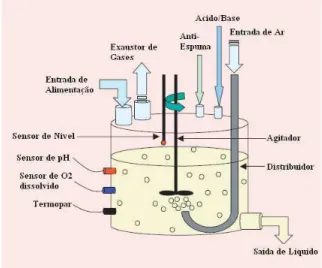 Figura 1: Esquema de um Bioreator (Henson, 2006).