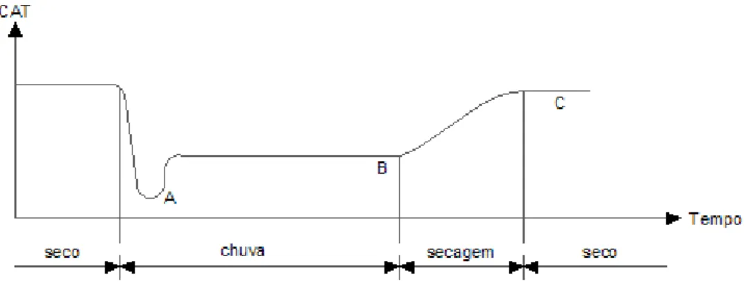 Figura  3.7 - Evolução do CAT num curto período de tempo (Pereira e Miranda, 1999)