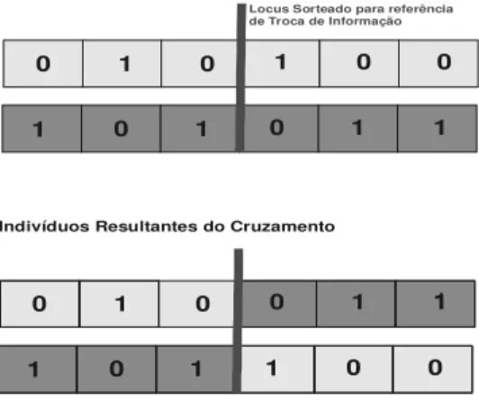 Figura 8 - Operador Cruzamento