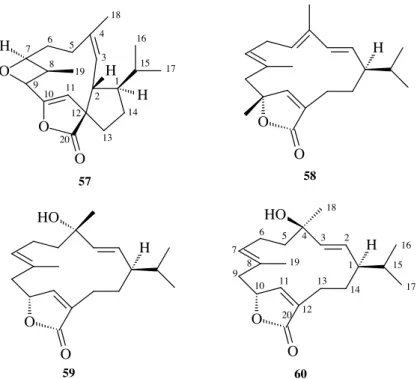 Figura  1.19:  Exemplos  de  cembranolidas  isolados  da  casca  do  caule  de  C.  gratissimus:  (+)- (+)-[1R*,2S*,7S*,8S*,12R*]-7,8-epoxi-2,12-ciclocembra-3(E),10(Z)-dien-20,10-olida  (57),  (+)-[1R*,10R*] 