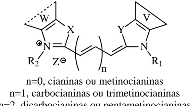 Figura 7 - Estrutura geral das cianinas  Podendo ser: 