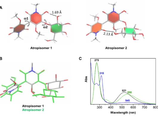Fig. 4. Analysis of the thermodynamically favored atropoisomers of chrozophoridin, in solution