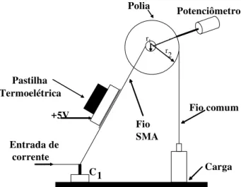 Figura 2: Montagem mecânica do atuador SMA