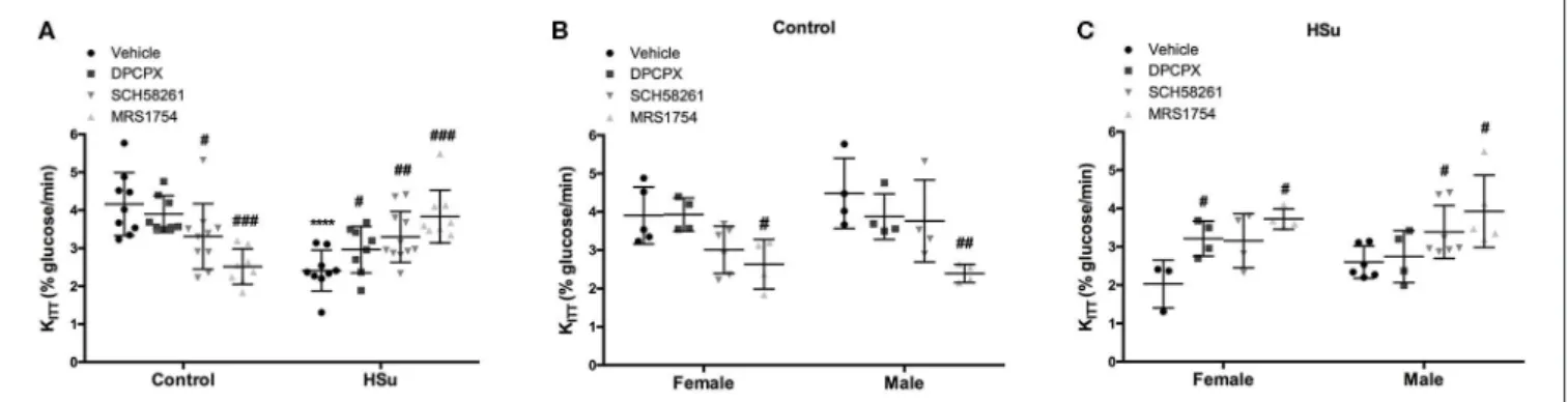 Figure 1 depicts the effect of chronic adenosine receptor antagonist administration on insulin sensitivity in control and HSu animals