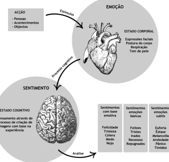 Fig. 2 - Esquema ilustrativo da abordagem neurológica. 
