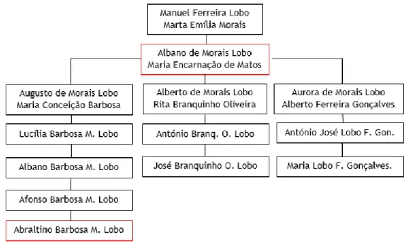 Figura 4 - Árvore genealógica da família Lobo    