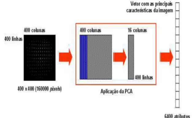 Figura 3 - Aplicação da PCA nas colunas da imagem pré- pré-processada (Valerio Netto, 2003)