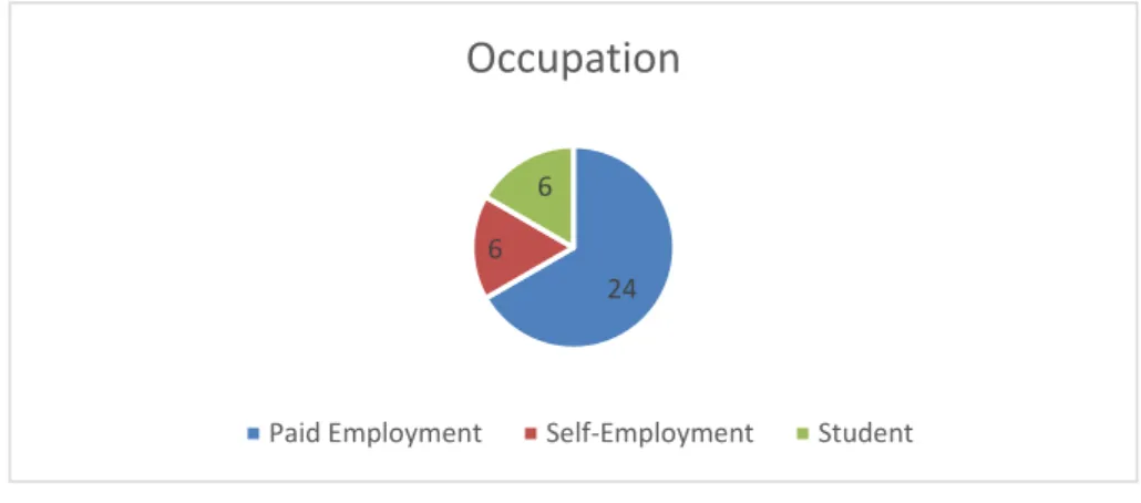 Figure 8: Pie graphic representation of the occupation of the respondents. 